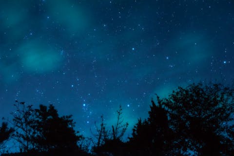 【兵庫・家島・ガイドツアー】暗闇の中をガイドと共に歩くナイトハイク