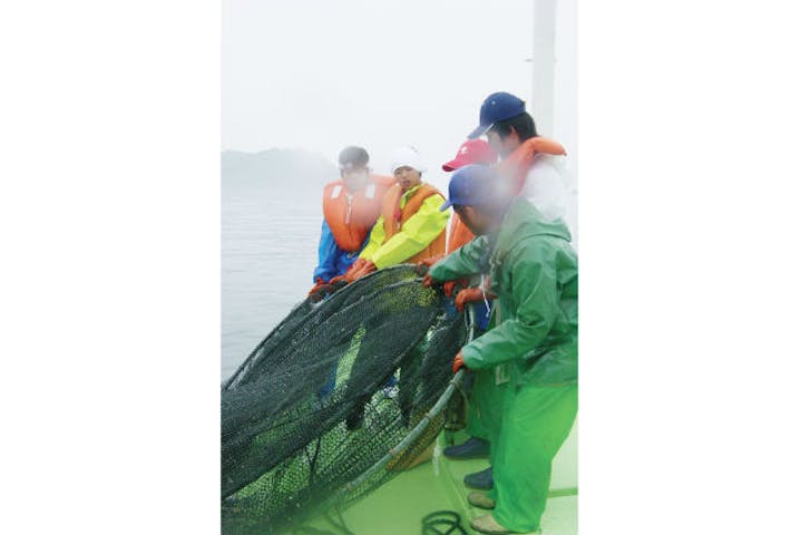 兵庫 家島 漁師体験 家島の漁師と共同作業 本格定置網漁体験 アソビュー