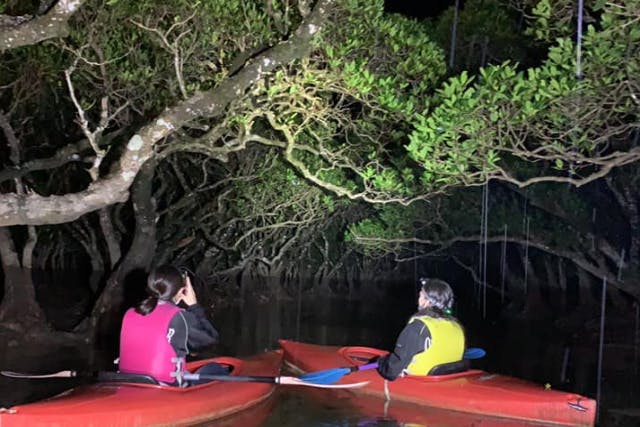 【鹿児島・奄美・カヌー】ナイトカヌーでマングローブ原生林と満天の星空観察！