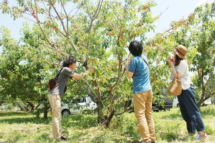 小野洋蘭果樹園