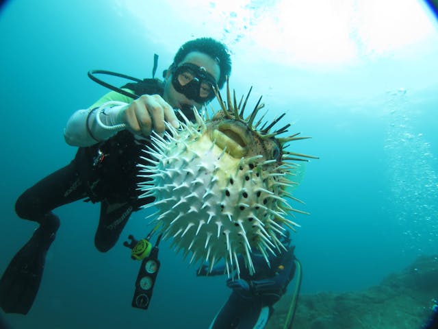 DIVING LIFESTYLE CREATOR SEA REX