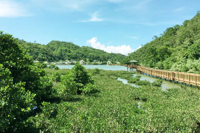 わんさか大浦パーク