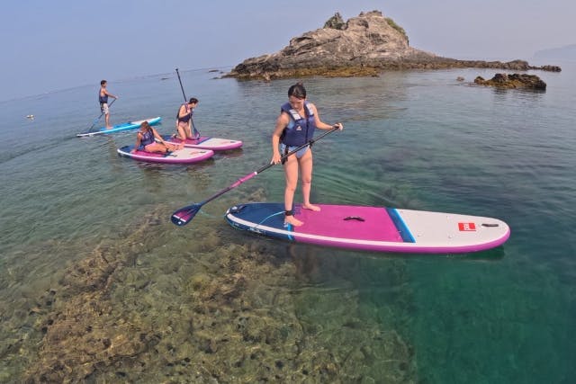 【千葉・南房総・SUP】好アクセス！魚がいっぱい、綺麗な海！初心者SUP体験！