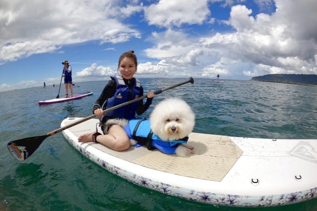 【千葉・南房総・SUP】DOG SUP！愛犬と感じる海の上の特別な時間。初めての方も大歓迎！ワンちゃんと相乗りSUPで思い出をつくろう！
