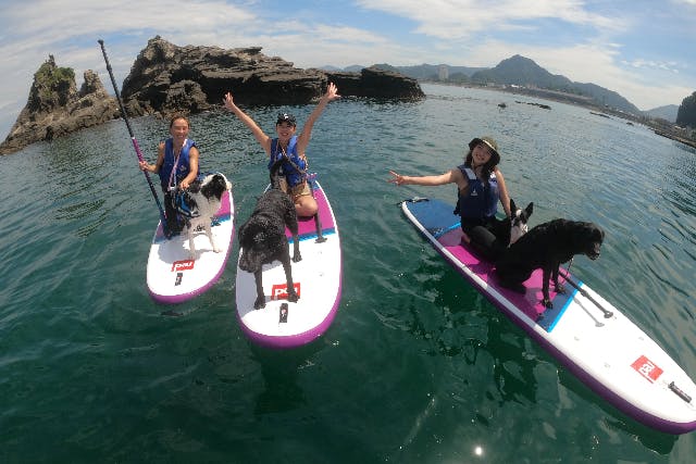 【千葉・南房総・SUP】DOG SUP！愛犬と感じる海の上の特別な時間。初めての方も大歓迎！ワンちゃんと相乗りSUPで思い出をつくろう！