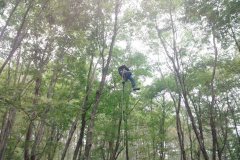 【長野・白馬・ツリークライミング】小谷の森を遊び尽くそう！ツリークライミング3時間