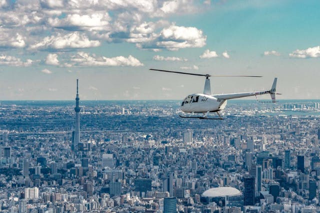 【東京・ヘリコプター遊覧】＜20分＞都内の観光名所を巡る！貸切デイクルーズ