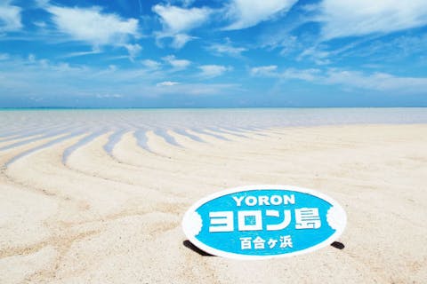 【鹿児島・与論島・グラスボート】グラスボートで行く百合ヶ浜上陸＆LOOKウミガメツアー！可愛いウミガメを鑑賞できる！