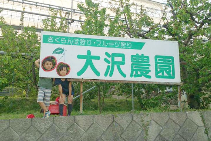 山梨 さくらんぼ狩り 温室ハウスで育った さくらんぼ食べ放題プラン アソビュー