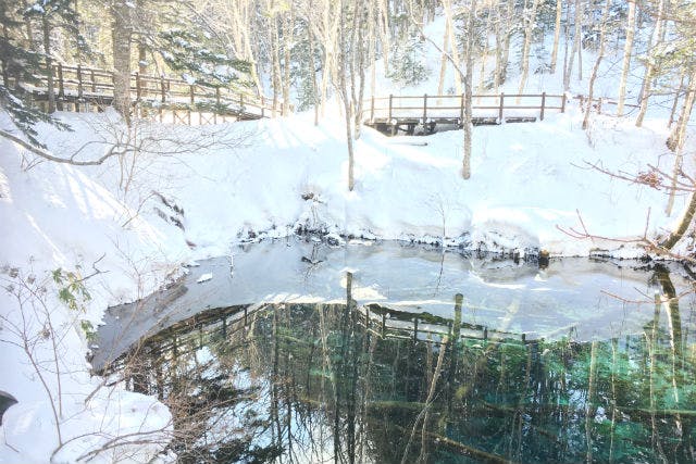 北海道 知床 スノーシュー 知床の森 神の子池へ スノーシューツアー アソビュー