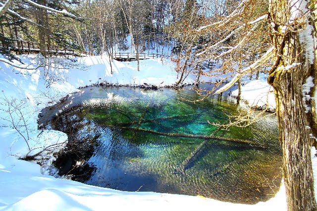 【北海道・知床・スノーシュー】冬季はエメラルドグリーンになる神の子池！ウトロで神秘的なスノーシューイングツアー＜無料送迎付き＞