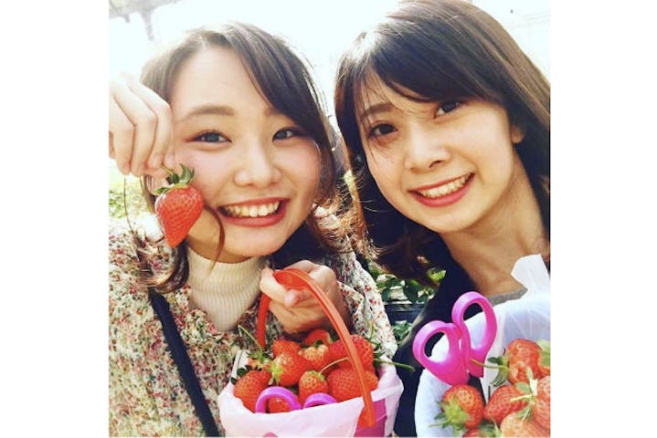 平井観光農園 ネット予約ならアソビュー 平井観光農園 ネット予約ならアソビュー