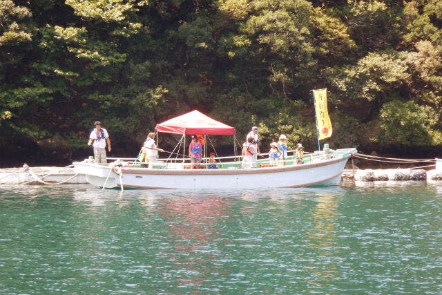 静岡 伊豆 午前便 船釣り 船酔いの心配なし 係船で釣り体験 午前コース アソビュー