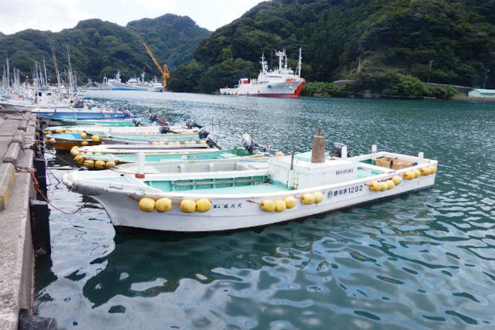 静岡 伊豆 午後便 船釣り 船酔いの心配なし 係船で釣り体験 午後コース アソビュー