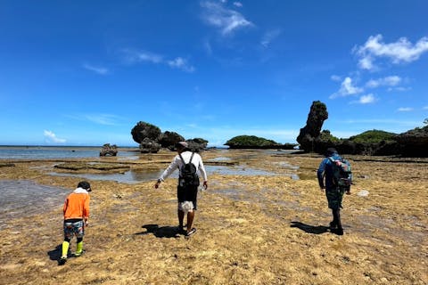 【沖縄・恩納村・エコツアー】イノーで磯遊び【うみあっちゃー（海散歩）】☆1組完全貸切！☆泳げなくても問題なし☆たくさんの生き物に会いに行こう☆真栄田岬から車で２分☆