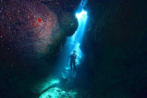 【沖縄・水納島・瀬底島・ファンダイビング】ダイナミックな離島の地形を楽しもう！水納島・瀬底島FUNダイビング