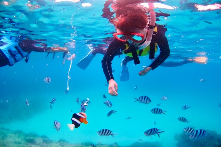 沖縄 本部 シュノーケリング 綺麗な珊瑚と白い砂地で癒される シュノーケル体験 写真プレゼント付 アソビュー