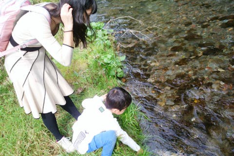 【北海道・登別・エコツアー】力強くダイナミックな姿！川を上るサケの大群を見よう