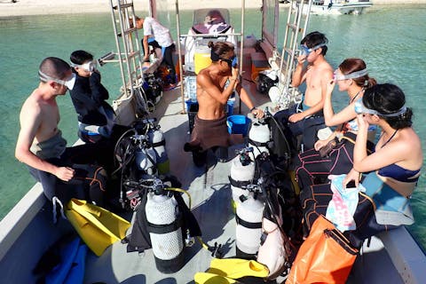 【体験・半日】川平でマンタダイブ★2ダイブコース