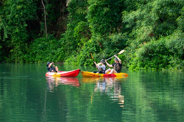 沖縄・中部・比謝川サンセットカヤック】マングローブ観察とサンセット