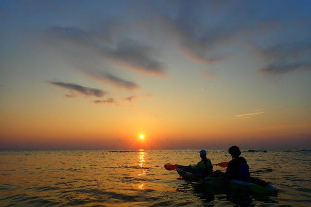 沖縄・中部・サンセットカヤック】＼ネット割♪／マングローブ観察と