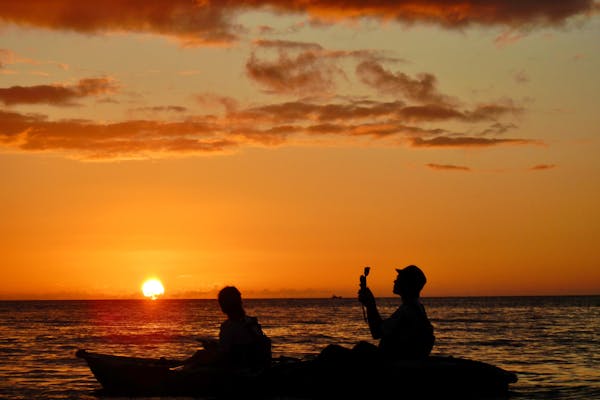 沖縄・中部・比謝川サンセットカヤック】マングローブ観察とサンセット