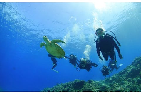 【沖縄・慶良間・北谷発】ケラマ諸島ボート体験ダイビング（2回）＆シュノーケリングツアー☆ライセンス不要・水中写真プレゼント付き☆