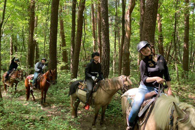 【山梨・乗馬】馬との森林浴を楽しむ、癒しの日帰りプラン
