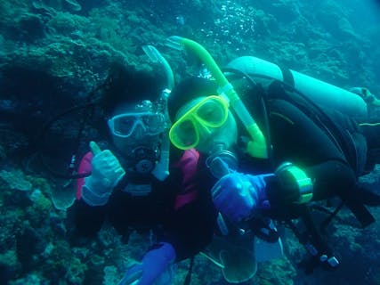 ＜貸切＞【静岡・伊豆・体験ダイビング】10歳以上から参加OK！水深12ｍの幻想的な世界へ！安心のプール講習あり（240分）