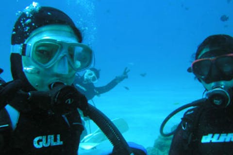 【体験・半日】10歳からOK！色鮮やかな奄美大島の海へ☆体験ダイビング！