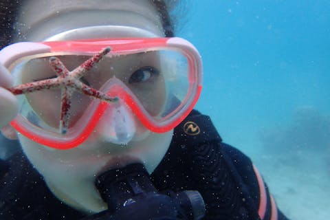 【鹿児島・奄美大島・ダイビング】その場で水中写真プレゼント！体験ダイビング【ビーチから】