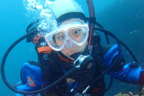 【伊豆・体験ダイビング・1ダイブ】未知なる世界へご招待！初心者限定ダイビング