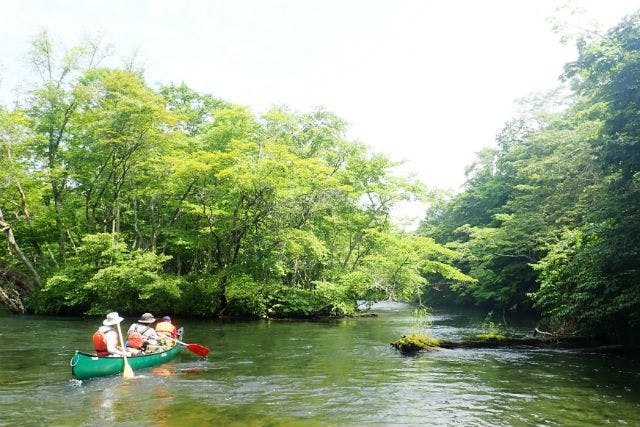 【北海道・千歳川・カヌーツアー】カヌーで千歳川ダウンリバーを堪能しよう！