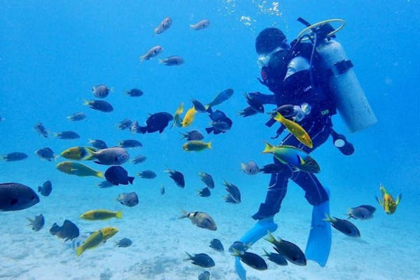 ジャングリア沖縄に近い！体験ダイビング＆シュノーケリングセット