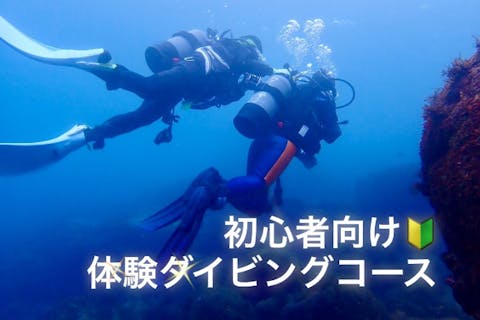 【神奈川・真鶴・1ダイブ・半日体験ダイビング】夢の一歩を踏み出そう！初心者OK!お1人様でも友達でもカップルでも！