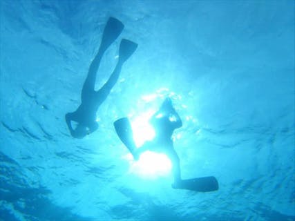 【リフレッシュダイビング】1名から開催！久々のダイビングをしっかりサポート★