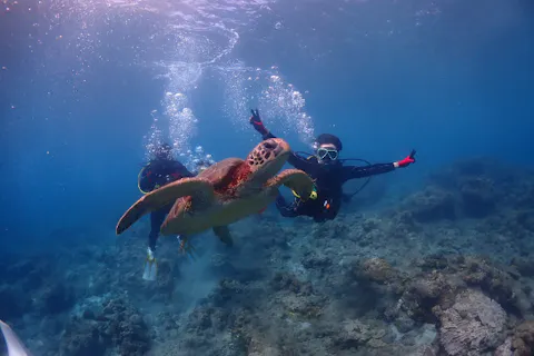 【屋久島・ウミガメ体験ダイビング｜シンプルプラン】初心者専門店がご案内｜必要なサービスだけ選べるシンプル体験《屋久島／夢心地》
