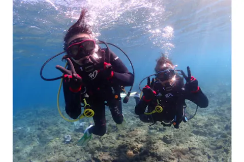 【屋久島・体験ダイビング】【初心者専門×お魚＆サンゴ観察に特化】【フルサポート付】【当日コース変更OK】【スタンダード1ダイブ】【施設&温水シャワーで海上がりも快適】《屋久島ダイビングガイド夢心地》