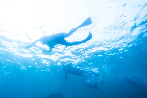 【恩納村・バナナボート＆シュノーケル】3歳からOK！バナナボートで行く！クマノミ城海の星探しシュノーケル ファミリーに大人気！