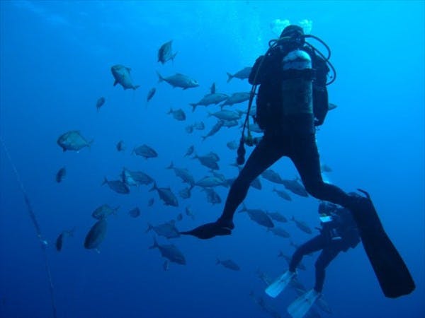 マイダイブ MyDiveの割引プラン