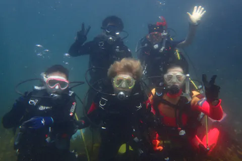 【体験ダイビング】初心者歓迎！浅瀬からのんびり約30分のダイビング