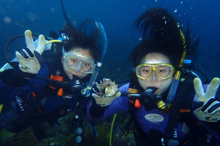 静岡 伊東市 体験ダイビング アソビュー 限定40 オフ ランチ 水中記念写真付き アソビュー