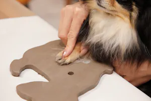 静岡・伊東市・陶芸体験】愛犬の足型を残せます！わんこプレート
