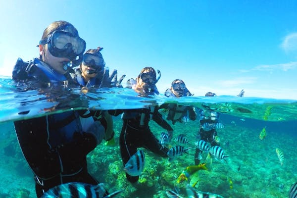 那覇発・ケラマ諸島半日・ボートシュノーケリング】☆2エントリー