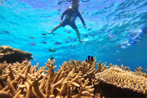 【沖縄・北部発・水納島半日・ボートシュノーケリング】★2エントリーなので海中時間たっぷり★船酔いが心配な方に・揺れに強い大型カタマラン船★写真＆ドリンク無料★