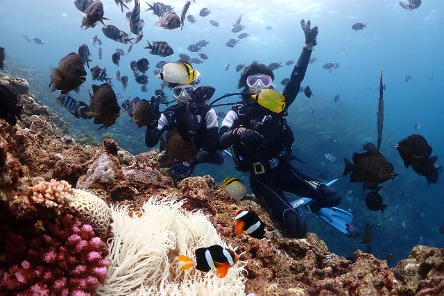 Pro Scuba Team SEALsの割引プラン