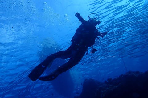 【愛知発・ファンダイビング】季節ごとにオススメの海でファンダイビング