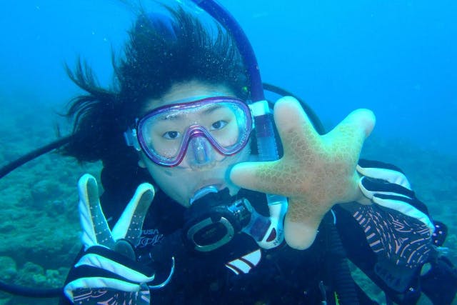 【愛知発・ファンダイビング】季節ごとにオススメの海でファンダイビング