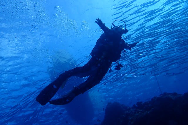 【愛知発・ファンダイビング】※先着50名※ 早割プラン！季節ごとにオススメの海でファンダイビング（重器材レンタル無料！）