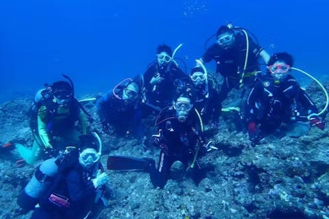 【愛知発・ファンダイビング】※先着50名※ 早割プラン！季節ごとにオススメの海でファンダイビング（レンタル器材無料！）